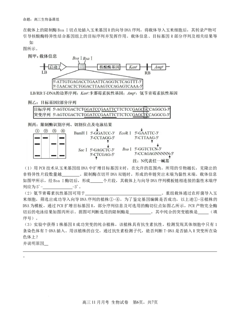 广西南宁市第二中学2024-2025学年高三上学期11月月考生物_A1502026各地模拟卷（超值！）_12月_241206广西南宁市第二中学2024-2025学年高三上学期11月月考
