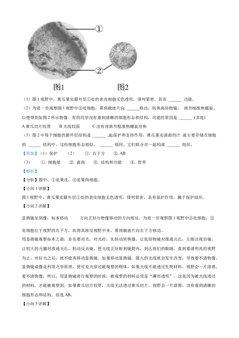 精品解析：北京市东城区2022-2023学年七年级上学期期末生物试题（解析版）(1)_北京初中期末题_C605-京七八九_B京生物七八九_北京7上生物_2022-2024_北京生物7上期末