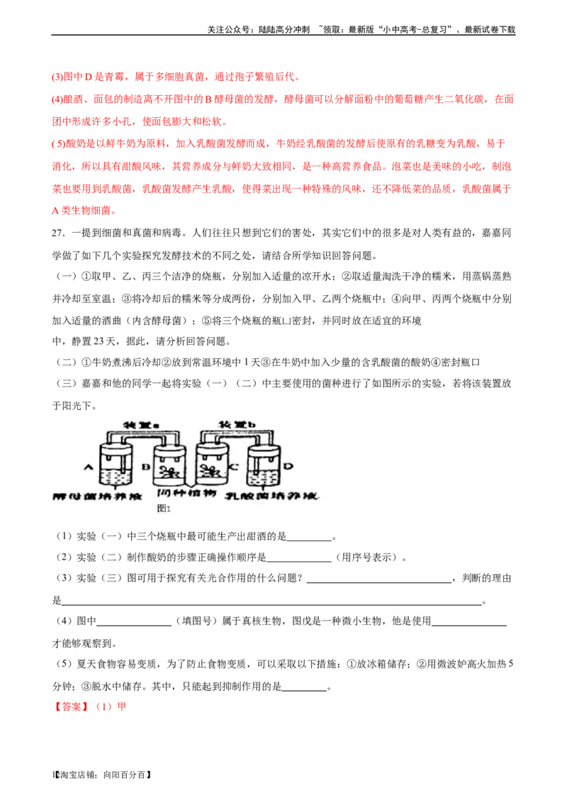 专题18细菌、真菌和病毒（习题精练）-省心备考2024年中考生物一轮复习精讲精练（全国通用）（解析版）_02中考总复习（2026版更新中）_08-生物-中考总复习_2024年中考复习资料