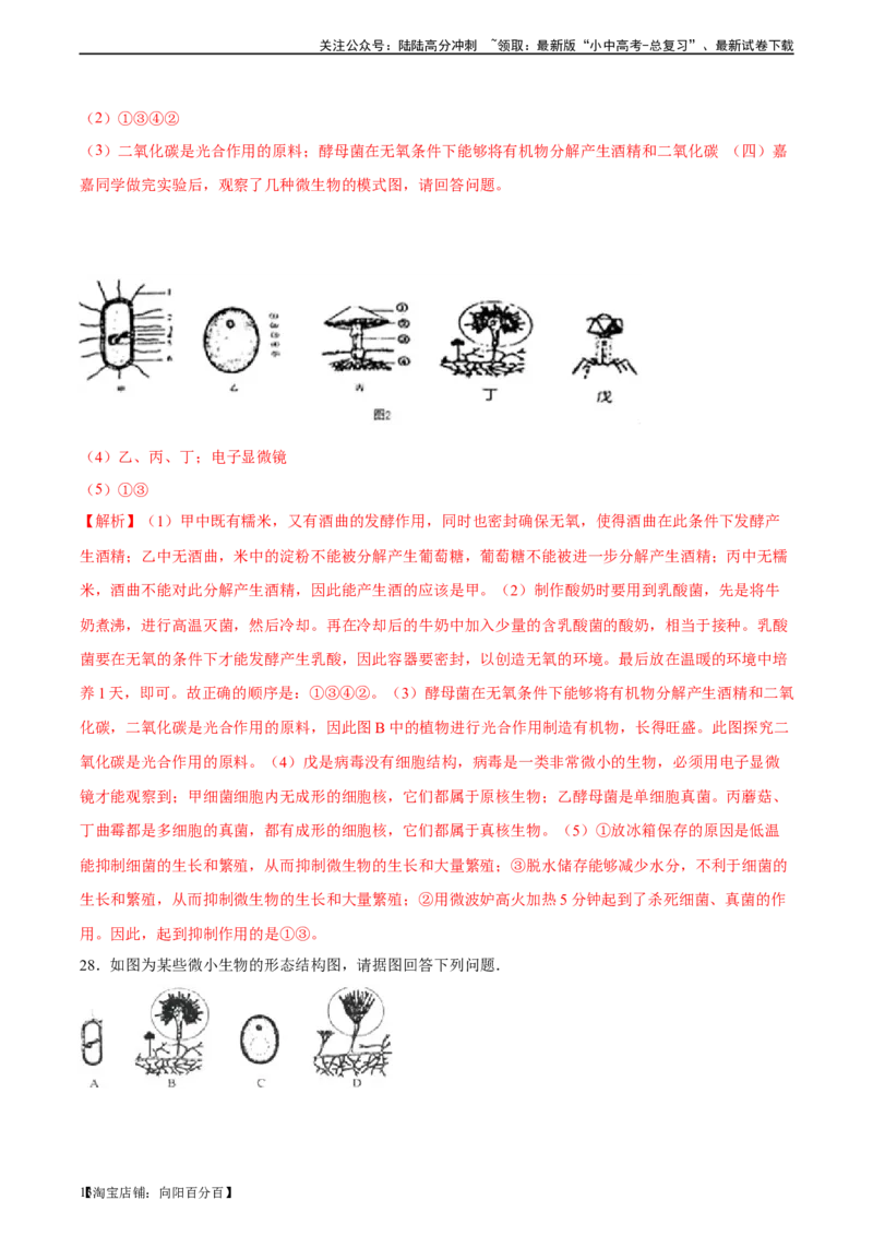 专题18细菌、真菌和病毒（习题精练）-省心备考2024年中考生物一轮复习精讲精练（全国通用）（解析版）_02中考总复习（2026版更新中）_08-生物-中考总复习_2024年中考复习资料