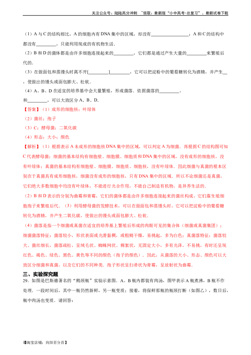 专题18细菌、真菌和病毒（习题精练）-省心备考2024年中考生物一轮复习精讲精练（全国通用）（解析版）_02中考总复习（2026版更新中）_08-生物-中考总复习_2024年中考复习资料