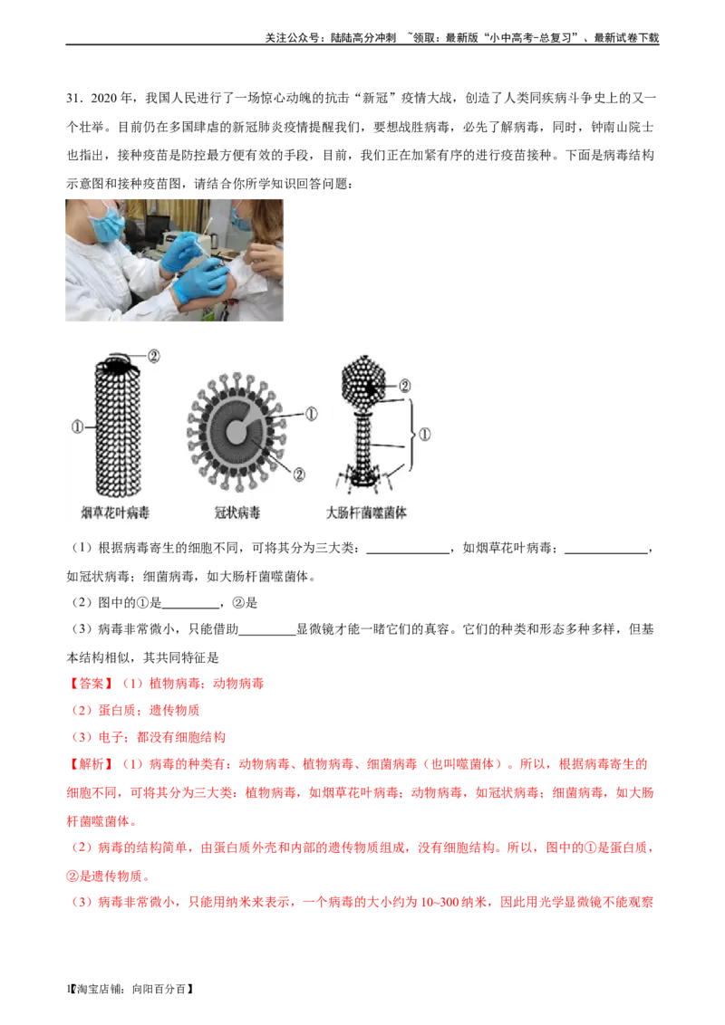 专题18细菌、真菌和病毒（习题精练）-省心备考2024年中考生物一轮复习精讲精练（全国通用）（解析版）_02中考总复习（2026版更新中）_08-生物-中考总复习_2024年中考复习资料