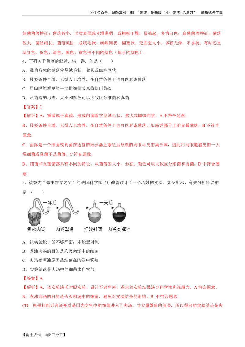 专题18细菌、真菌和病毒（习题精练）-省心备考2024年中考生物一轮复习精讲精练（全国通用）（解析版）_02中考总复习（2026版更新中）_08-生物-中考总复习_2024年中考复习资料