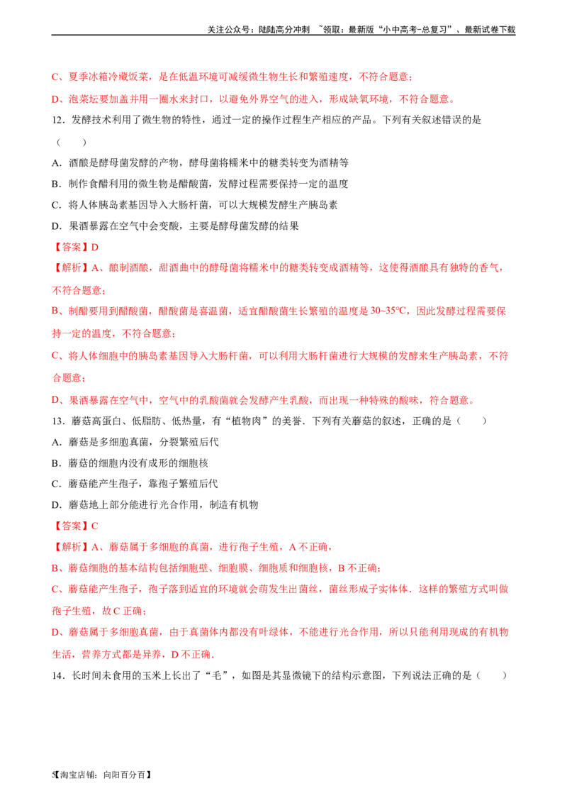 专题18细菌、真菌和病毒（习题精练）-省心备考2024年中考生物一轮复习精讲精练（全国通用）（解析版）_02中考总复习（2026版更新中）_08-生物-中考总复习_2024年中考复习资料