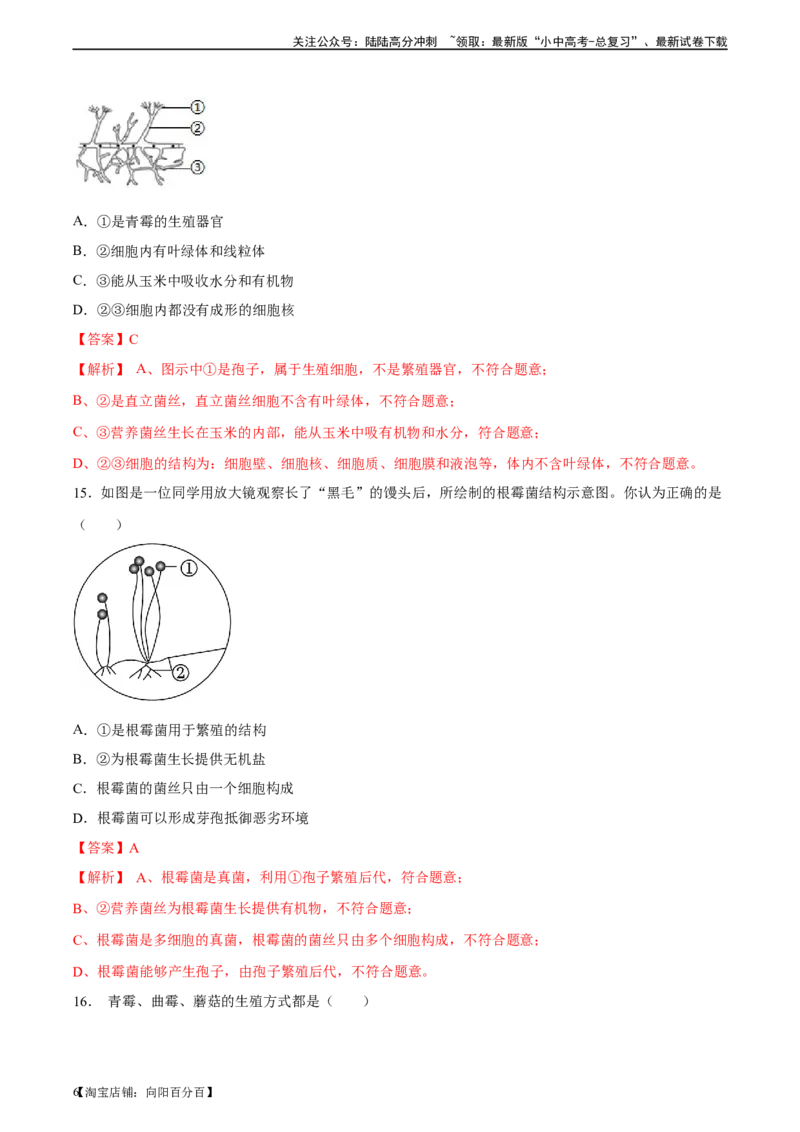专题18细菌、真菌和病毒（习题精练）-省心备考2024年中考生物一轮复习精讲精练（全国通用）（解析版）_02中考总复习（2026版更新中）_08-生物-中考总复习_2024年中考复习资料