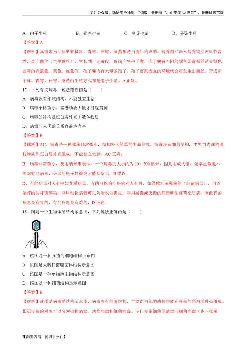 专题18细菌、真菌和病毒（习题精练）-省心备考2024年中考生物一轮复习精讲精练（全国通用）（解析版）_02中考总复习（2026版更新中）_08-生物-中考总复习_2024年中考复习资料