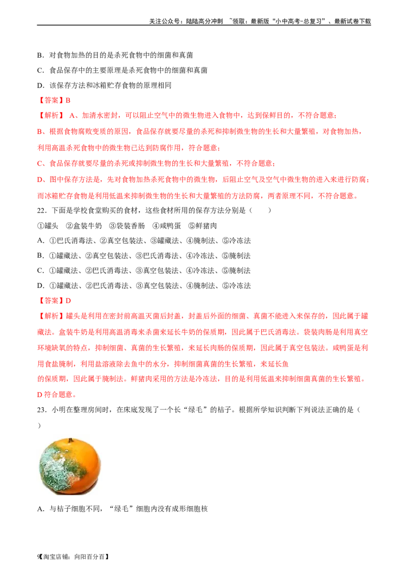 专题18细菌、真菌和病毒（习题精练）-省心备考2024年中考生物一轮复习精讲精练（全国通用）（解析版）_02中考总复习（2026版更新中）_08-生物-中考总复习_2024年中考复习资料