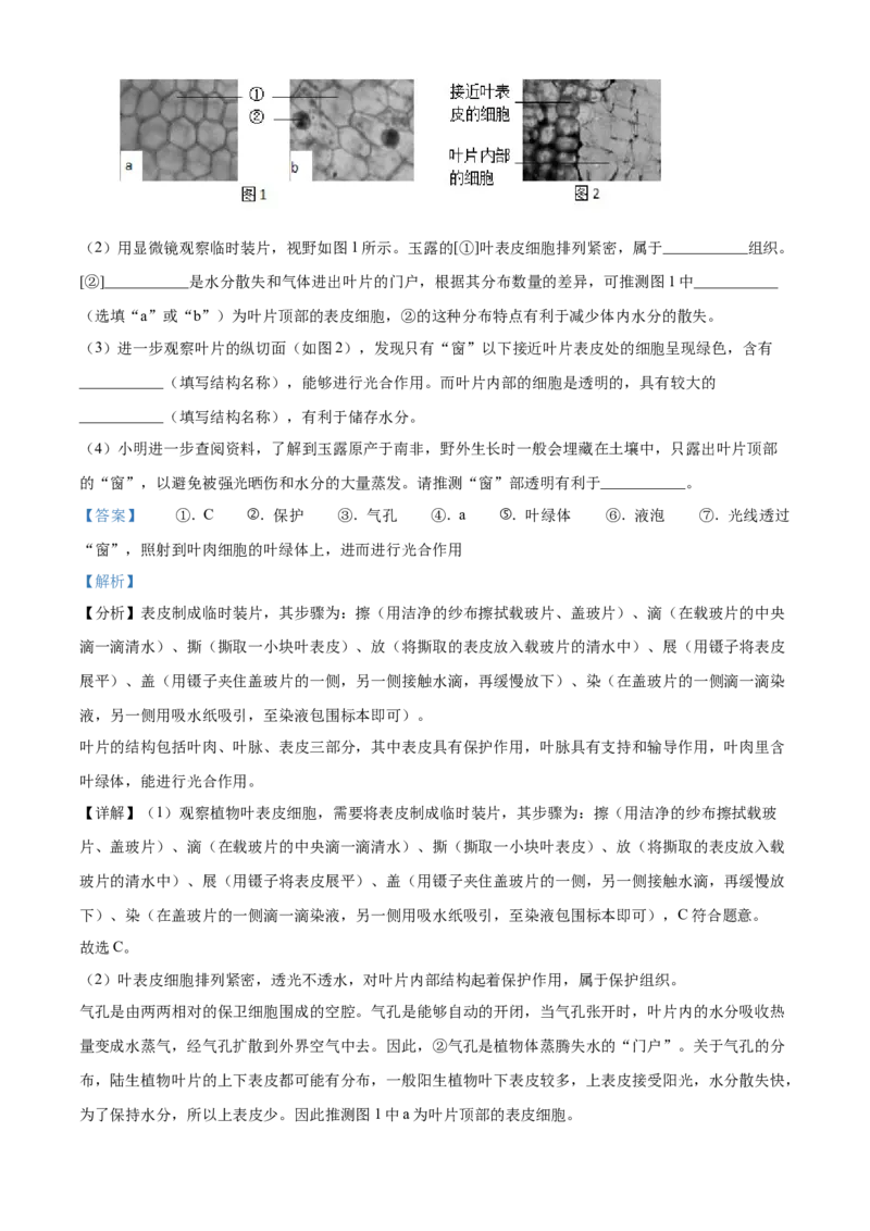 精品解析：2021北京市西城区中考二模生物试题（解析版）_20240330_171710(1)_北京初中期末题_C605-京七八九_B京生物七八九_北京八下生物_精品解析：2021北京市西城区中考二模生物试题