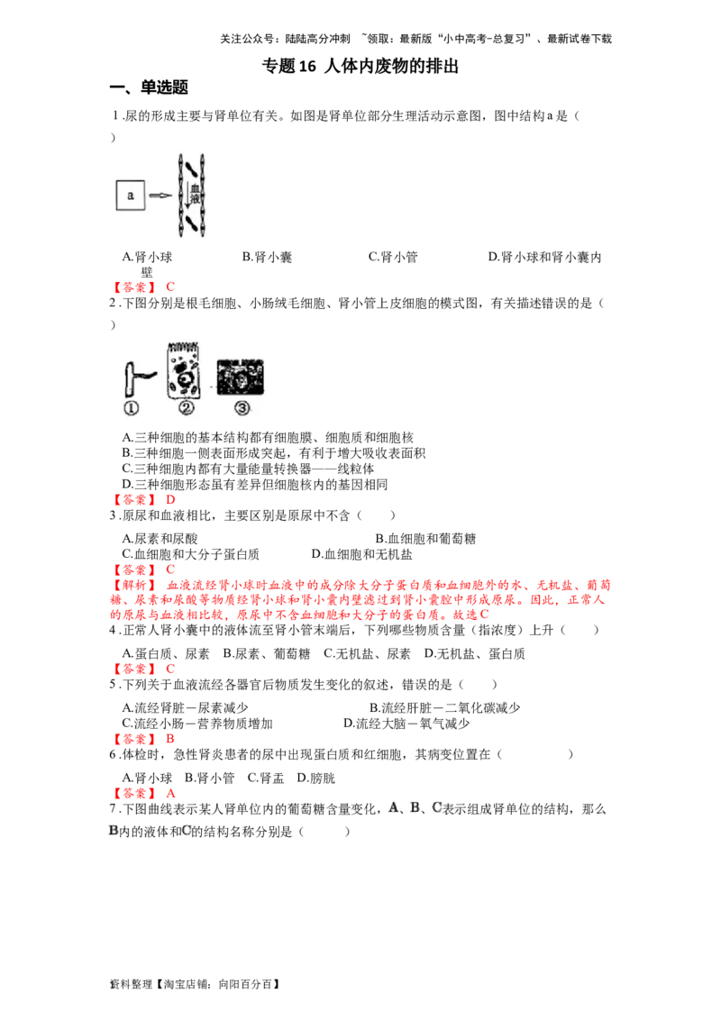 专题16人体内废物的排出（解析版）_02中考总复习（2026版更新中）_08-生物-中考总复习_2024年中考复习资料_一轮复习_配套练习_教师版（含答案解析）