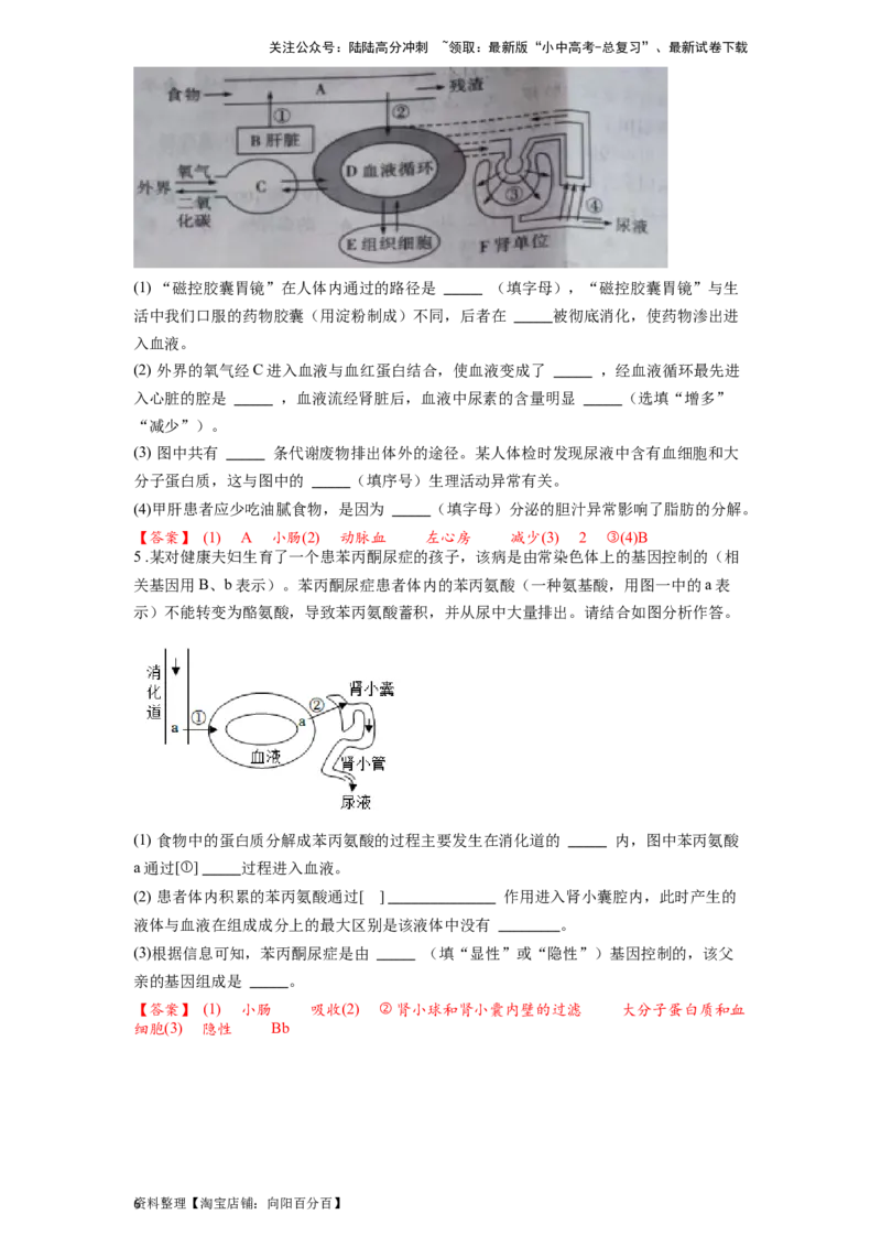专题16人体内废物的排出（解析版）_02中考总复习（2026版更新中）_08-生物-中考总复习_2024年中考复习资料_一轮复习_配套练习_教师版（含答案解析）