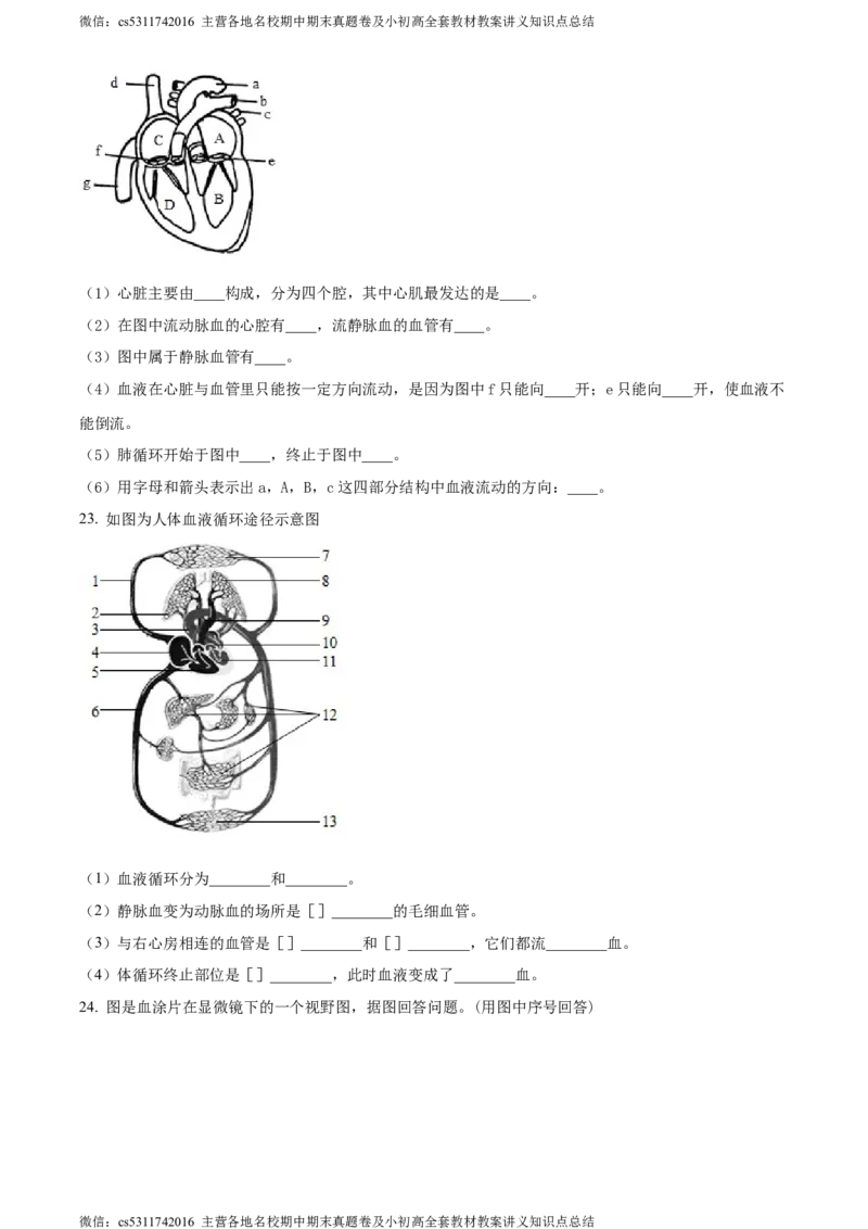 精品解析：北京市北京师范大学附属中学2023-2024学年七年级下学期开学考试生物试题（原卷版）(1)_北京初中期末题_C605-京七八九_B京生物七八九_北京7下生物_2022-2024_北京生物7下月考