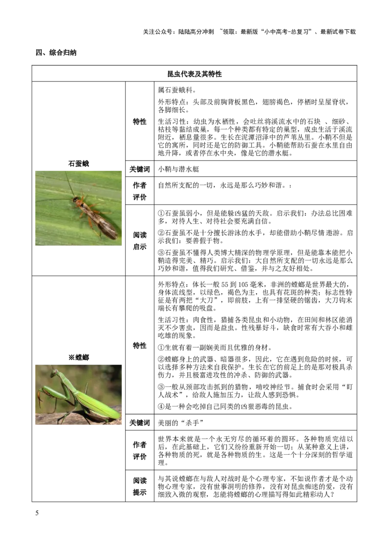 专题20《昆虫记》（知识梳理+练习）（原卷版）_02中考总复习（2026版更新中）_01-语文-中考总复习_2025年中考资料_备战2025年中考语文一轮复习考点突破（全国通用）