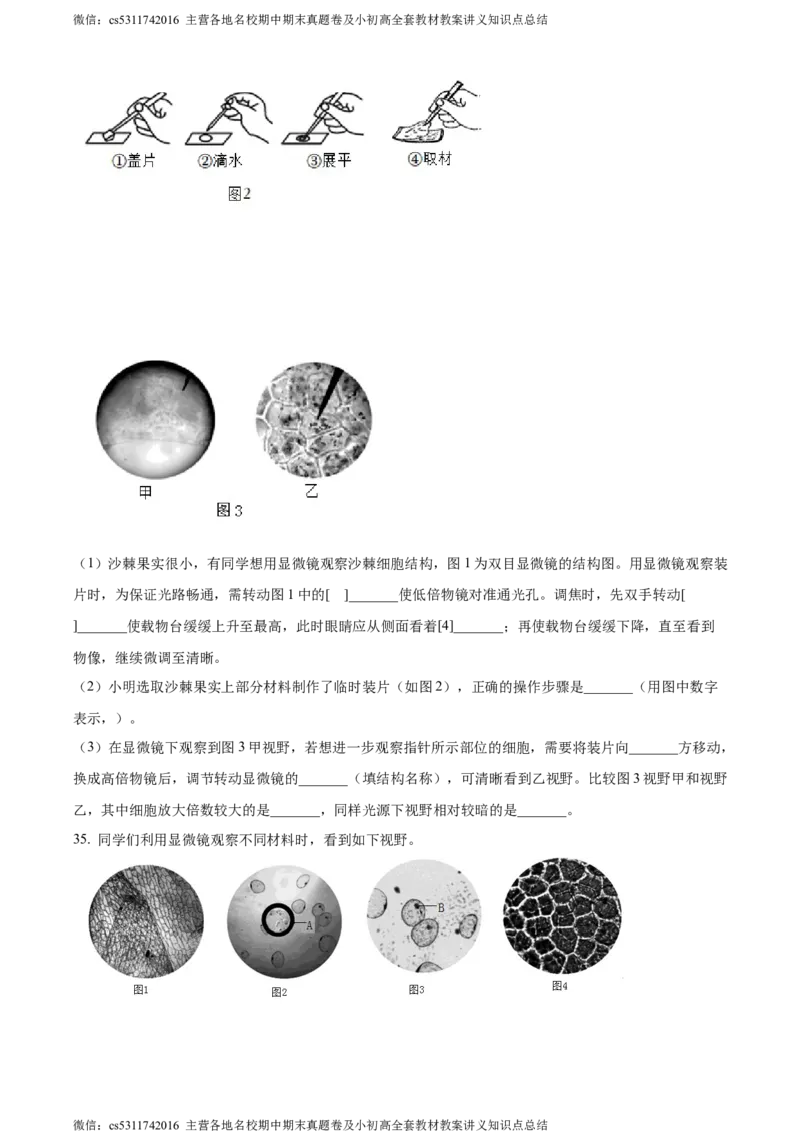 精品解析：北京市师达中学2022-2023学年七年级上学期期中生物试题（原卷版）(1)_北京初中期末题_C605-京七八九_B京生物七八九_北京7上生物_2022-2024_北京生物7上期中