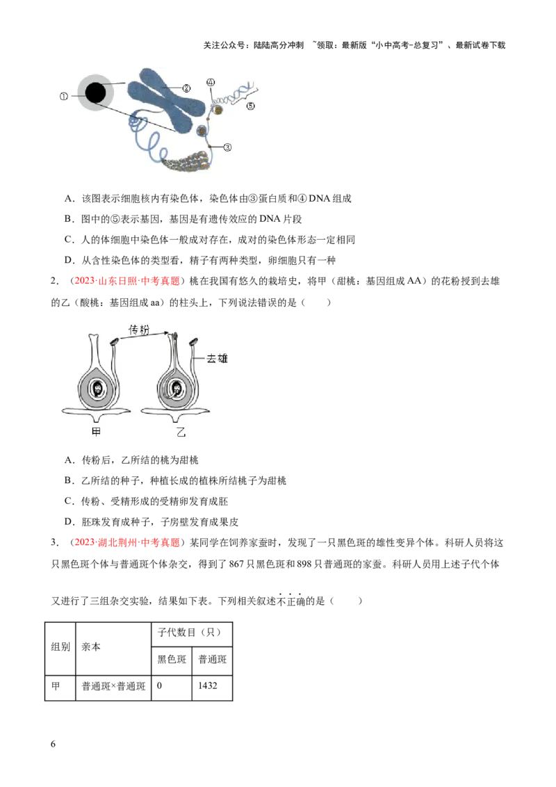 专题21生物的遗传和变异（原卷版）_02中考总复习（2026版更新中）_08-生物-中考总复习_2024年中考复习资料_一轮复习_❤备战2024年中考生物一轮复习考点帮（全国通用）_练习
