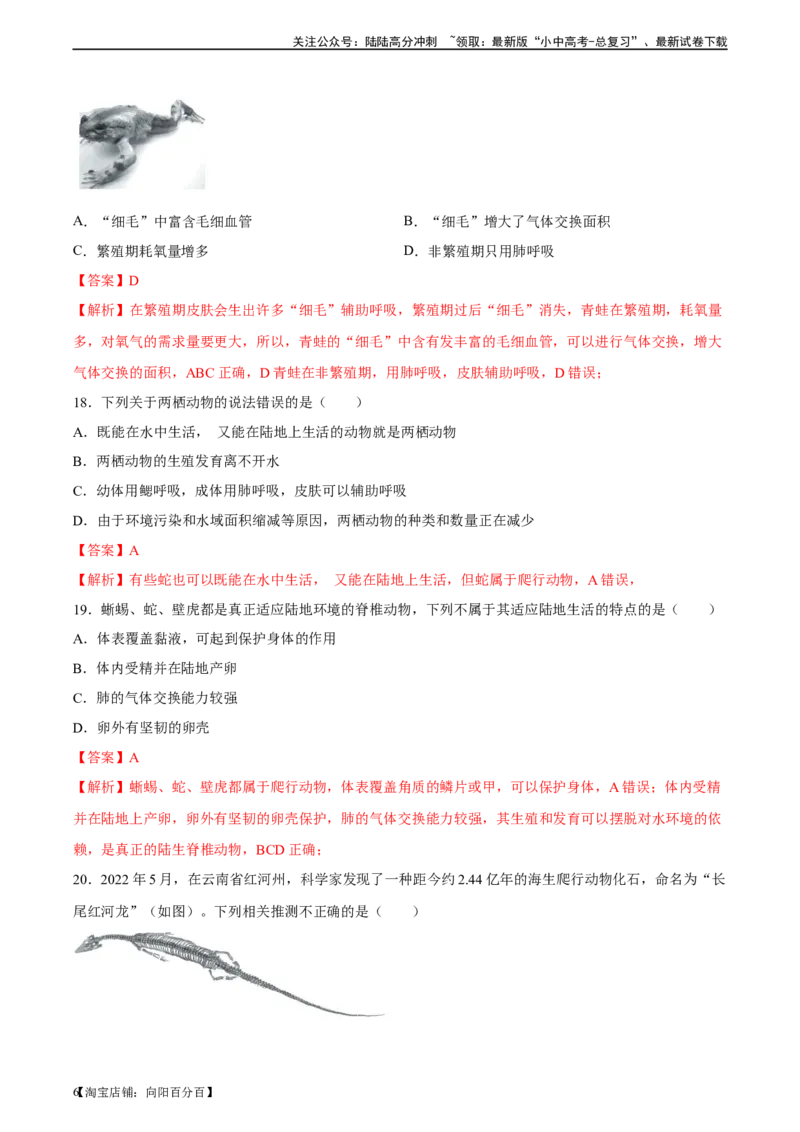 专题16动物的主要类群（习题精练）-省心备考2024年中考生物一轮复习精讲精练（全国通用）（解析版）_02中考总复习（2026版更新中）_08-生物-中考总复习_2024年中考复习资料_一轮复习