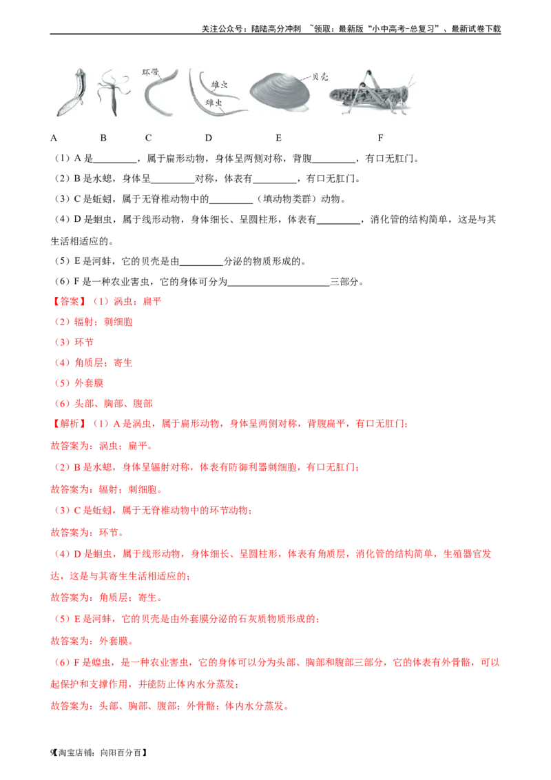 专题16动物的主要类群（习题精练）-省心备考2024年中考生物一轮复习精讲精练（全国通用）（解析版）_02中考总复习（2026版更新中）_08-生物-中考总复习_2024年中考复习资料_一轮复习