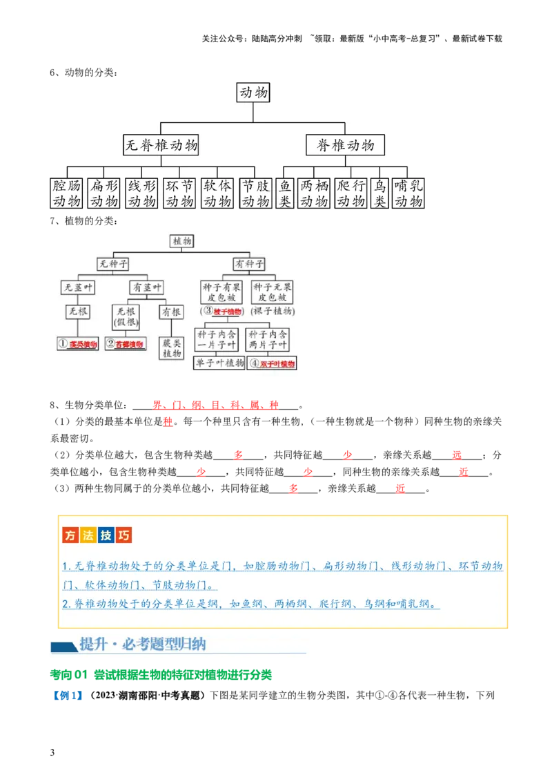 专题19生物多样性及其保护（讲义）（解析版）_02中考总复习（2026版更新中）_08-生物-中考总复习_2024年中考复习资料_一轮复习_❤2024年中考生物一轮复习讲练测（全国通用）_讲义