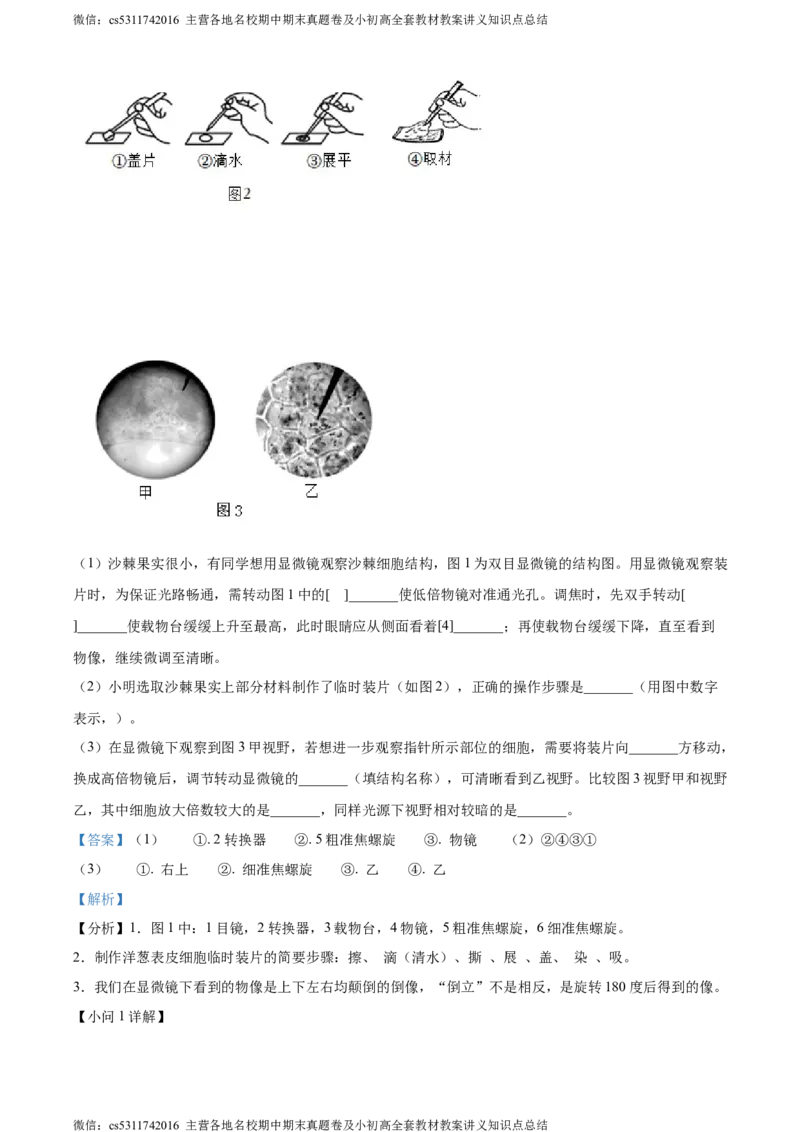 精品解析：北京市师达中学2022-2023学年七年级上学期期中生物试题（解析版）(1)_北京初中期末题_C605-京七八九_B京生物七八九_北京7上生物_2022-2024_北京生物7上期中