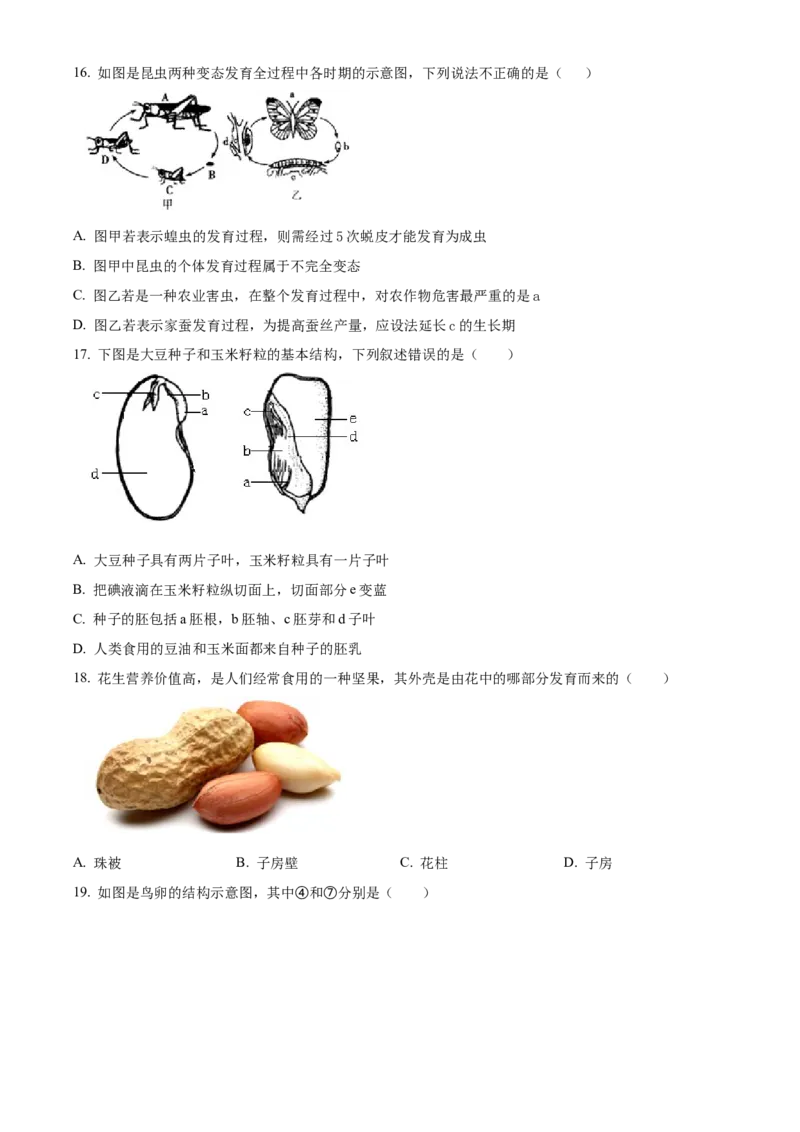 精品解析：北京市大兴区2022-2023学年八年级上学期期中生物试题（原卷版）(1)_北京初中期末题_C605-京七八九_B京生物七八九_北京八上生物_2022-2023_19