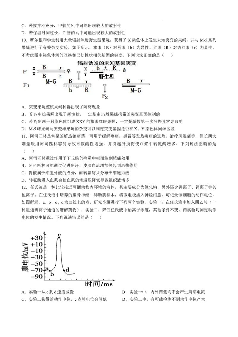 山东省威海市文登区2024-2025学年高三上学期第一次模拟考试试题生物+答案_A1502026各地模拟卷（超值！）_12月_241209山东省威海市文登区2024-2025学年高三上学期第一次模拟考试试题