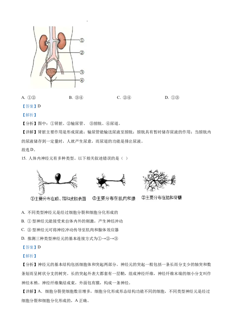 精品解析：北京市十一学校2021-2022学年八年级下学期期中生物试题（解析版）(1)_北京初中期末题_C605-京七八九_B京生物七八九_北京八下生物