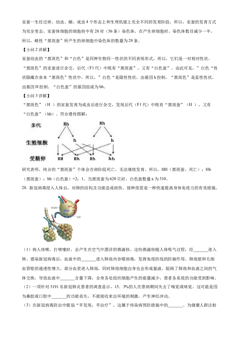 精品解析：北京市十一学校2021-2022学年八年级下学期期中生物试题（解析版）(1)_北京初中期末题_C605-京七八九_B京生物七八九_北京八下生物