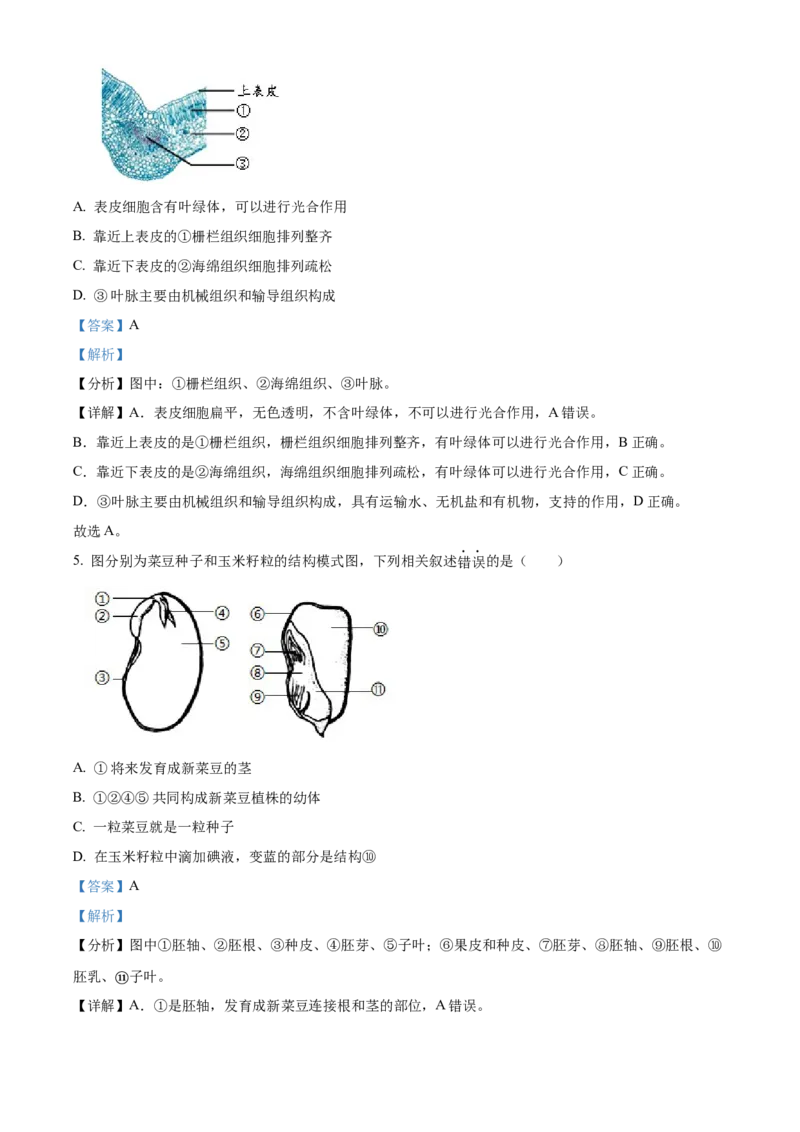 精品解析：北京市十一学校2021-2022学年八年级下学期期中生物试题（解析版）(1)_北京初中期末题_C605-京七八九_B京生物七八九_北京八下生物
