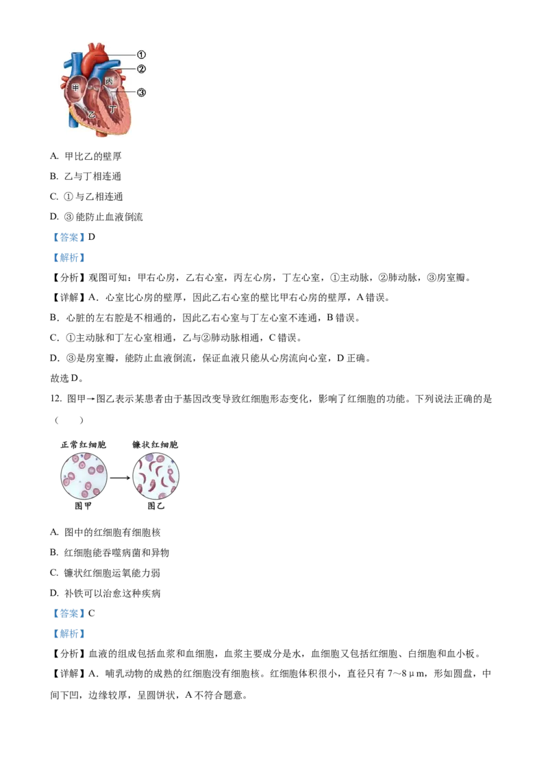 精品解析：北京市十一学校2021-2022学年八年级下学期期中生物试题（解析版）(1)_北京初中期末题_C605-京七八九_B京生物七八九_北京八下生物
