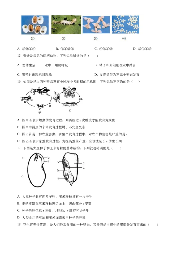 精品解析：北京市大兴区2022-2023学年八年级上学期期中生物试题（原卷版）(1)_北京初中期末题_C605-京七八九_B京生物七八九_北京八上生物_2022-2023