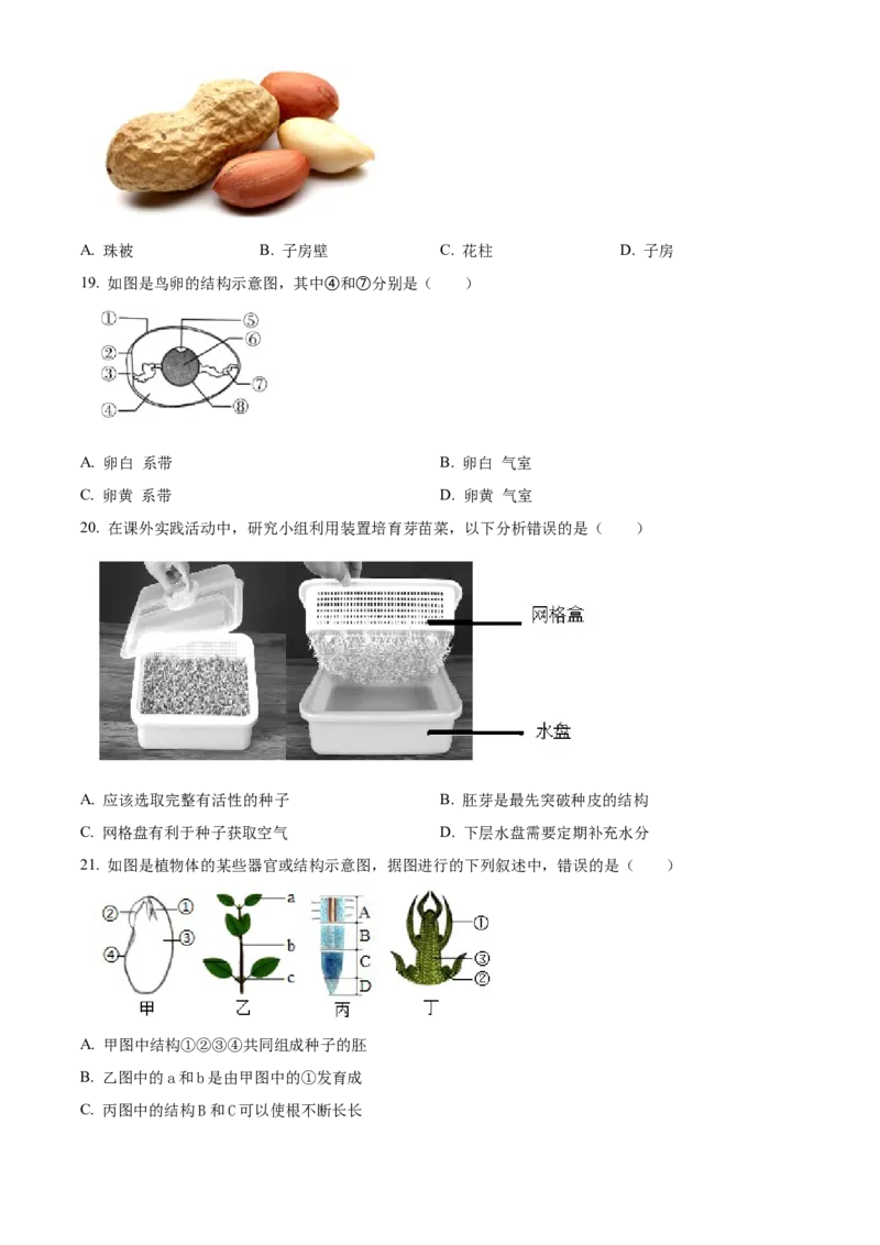 精品解析：北京市大兴区2022-2023学年八年级上学期期中生物试题（原卷版）(1)_北京初中期末题_C605-京七八九_B京生物七八九_北京八上生物_2022-2023