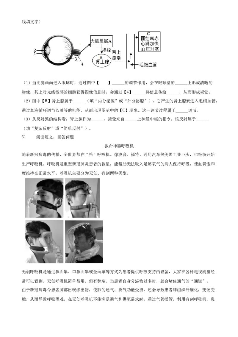 精品解析：北京市东城区2019-2020学年七年级下学期期末生物试题（原卷版）(1)_北京初中期末题_C605-京七八九_B京生物七八九_北京7下生物_2019-2020