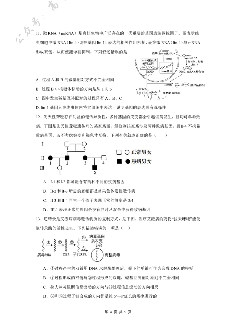 四川省成都外国语学校2024-2025学年高三上学期10月月考试题生物PDF版含答案（可编辑）_A1502026各地模拟卷（超值！）_10月_241017四川省成都外国语学校2024-2025学年高三上学期10月月考
