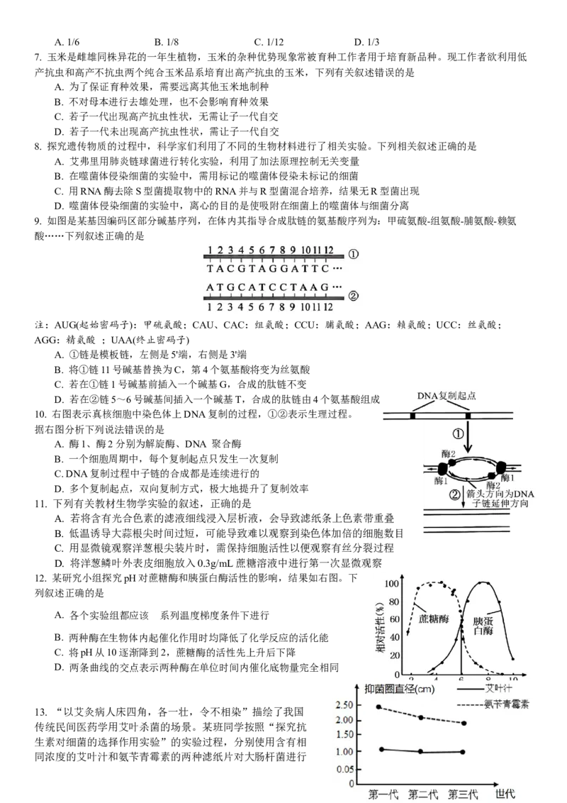 广东省华南师范大学附属中学2024-2025学年高三上学期11月综合测试（二）生物Word版含答案_A1502026各地模拟卷（超值！）_11月