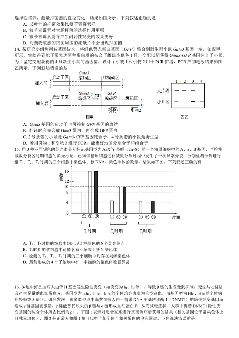 广东省华南师范大学附属中学2024-2025学年高三上学期11月综合测试（二）生物Word版含答案_A1502026各地模拟卷（超值！）_11月