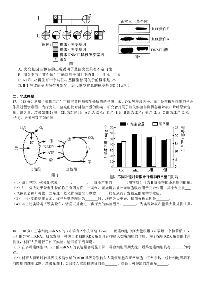 广东省华南师范大学附属中学2024-2025学年高三上学期11月综合测试（二）生物Word版含答案_A1502026各地模拟卷（超值！）_11月