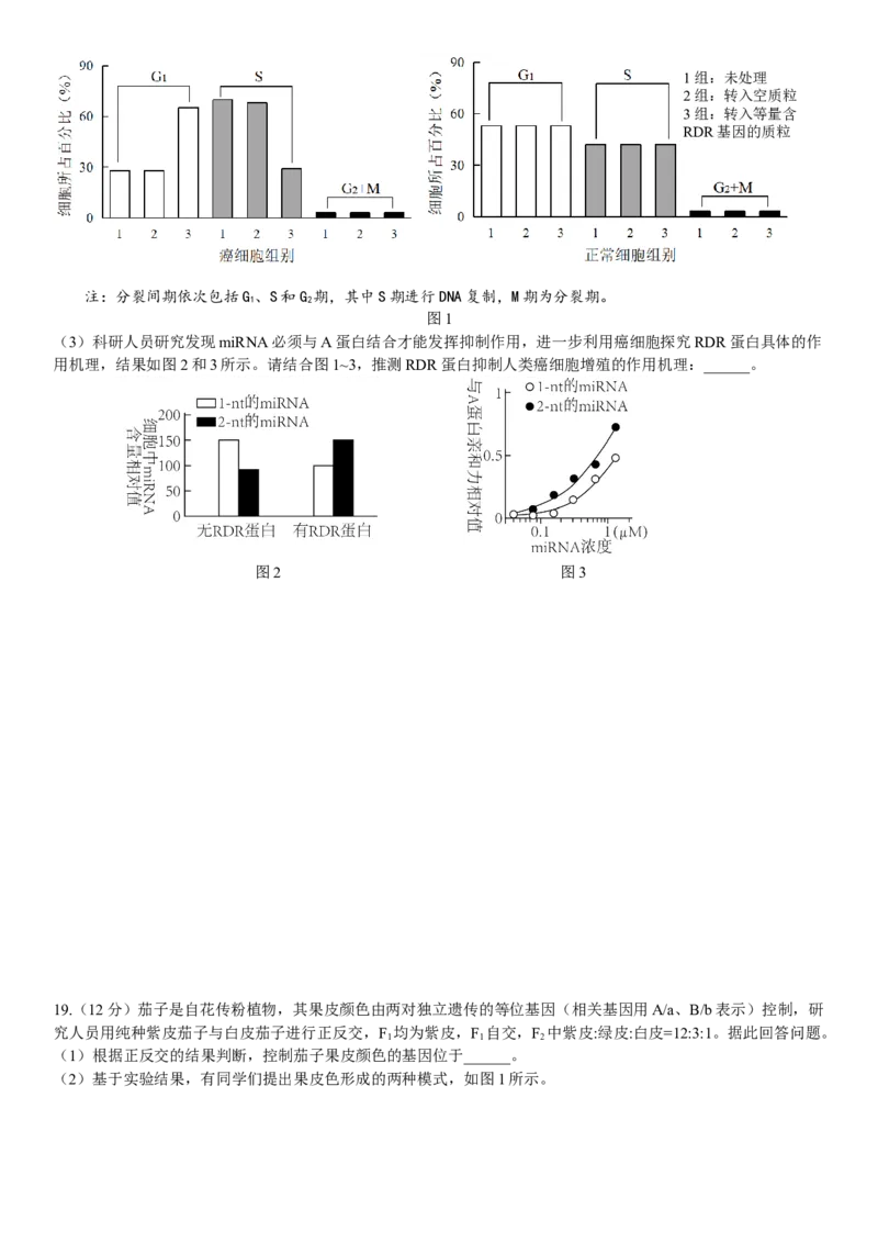 广东省华南师范大学附属中学2024-2025学年高三上学期11月综合测试（二）生物Word版含答案_A1502026各地模拟卷（超值！）_11月