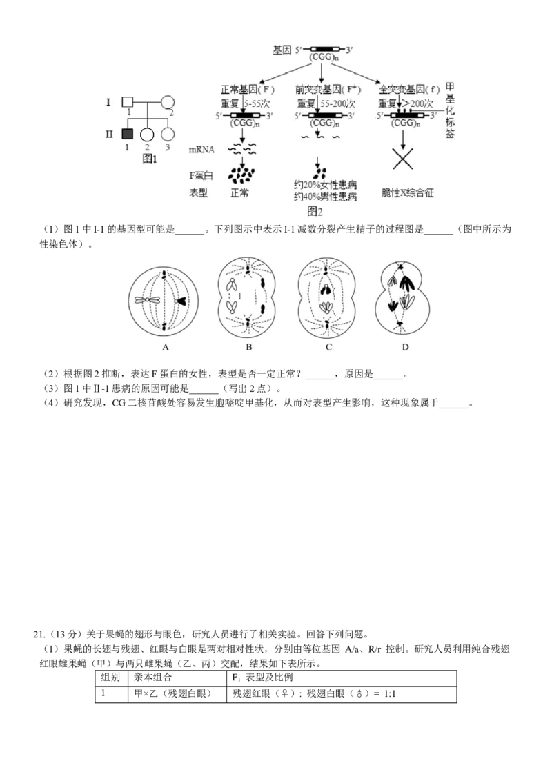 广东省华南师范大学附属中学2024-2025学年高三上学期11月综合测试（二）生物Word版含答案_A1502026各地模拟卷（超值！）_11月