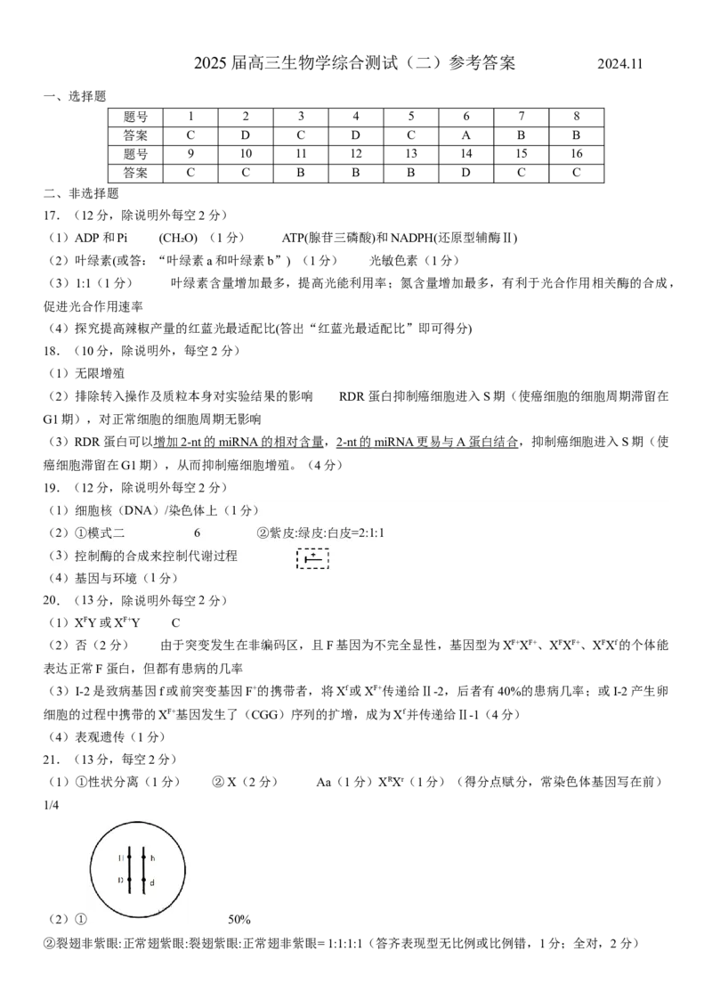 广东省华南师范大学附属中学2024-2025学年高三上学期11月综合测试（二）生物Word版含答案_A1502026各地模拟卷（超值！）_11月