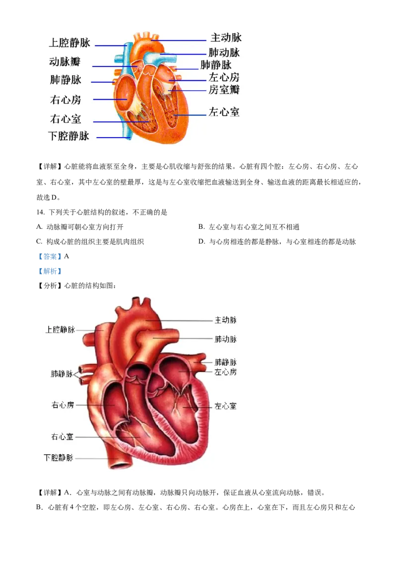 精品解析：北京市东城区2019-2020学年七年级下学期期末生物试题（解析版）(1)_北京初中期末题_C605-京七八九_B京生物七八九_北京7下生物_2019-2020