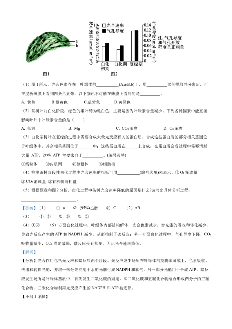 上海市黄浦区敬业中学2023-2024学年高二下学期6月期末生物答案_A1502026各地模拟卷（超值！）_6月_2406292024上海市黄浦区敬业中学高二下学期6月期末