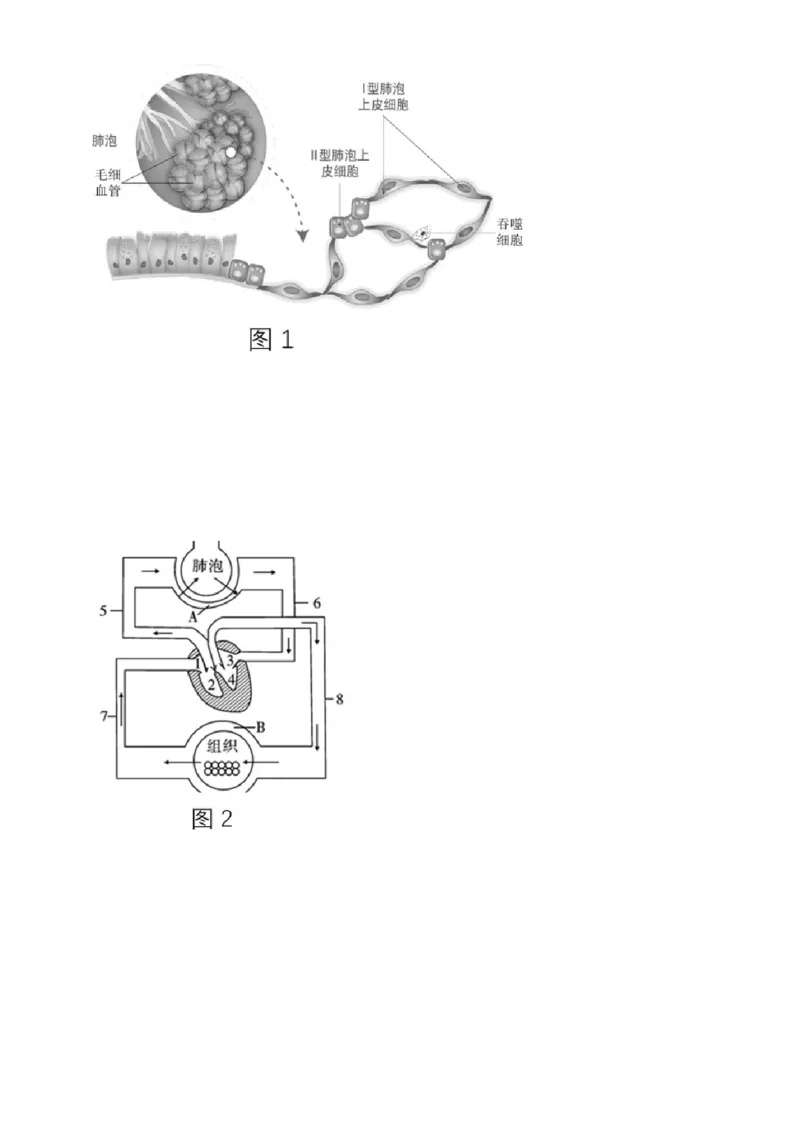 精品解析：北京市北京师范大学实验华夏女子中学2021-2022学年八年级下学期期中生物试题（原卷版）(1)_北京初中期末题_C605-京七八九_B京生物七八九_北京八下生物
