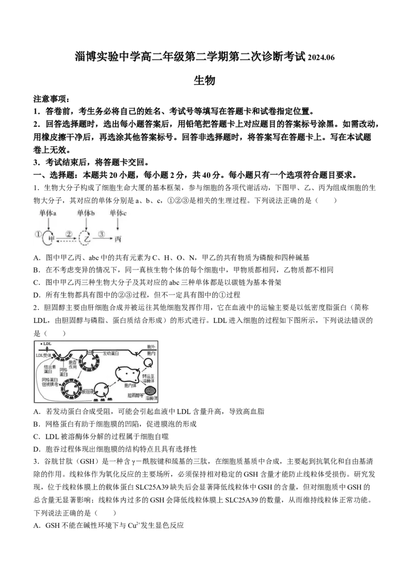 山东省淄博市张店区淄博实验中学2023-2024学年高二下学期6月月考生物试题（含答案）_A1502026各地模拟卷（超值！）_6月