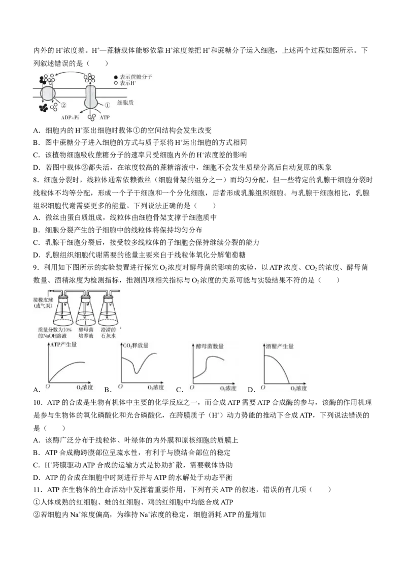 山东省淄博市张店区淄博实验中学2023-2024学年高二下学期6月月考生物试题（含答案）_A1502026各地模拟卷（超值！）_6月