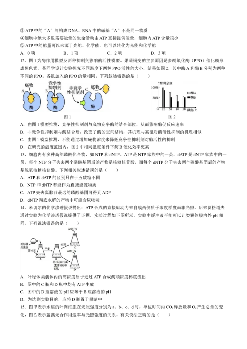 山东省淄博市张店区淄博实验中学2023-2024学年高二下学期6月月考生物试题（含答案）_A1502026各地模拟卷（超值！）_6月