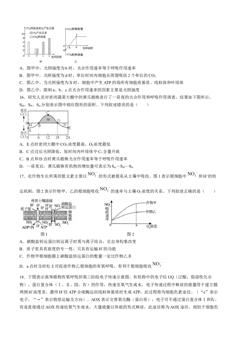 山东省淄博市张店区淄博实验中学2023-2024学年高二下学期6月月考生物试题（含答案）_A1502026各地模拟卷（超值！）_6月