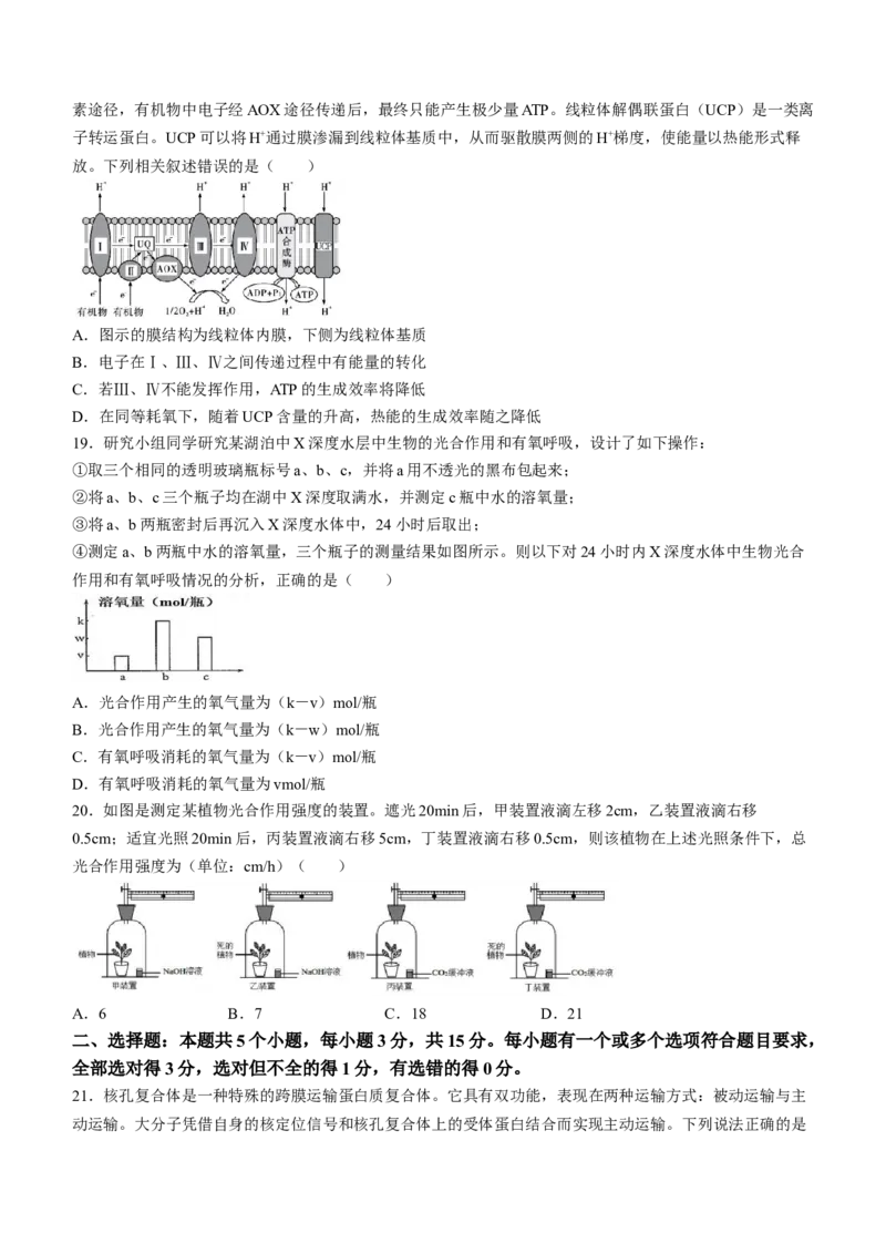 山东省淄博市张店区淄博实验中学2023-2024学年高二下学期6月月考生物试题（含答案）_A1502026各地模拟卷（超值！）_6月