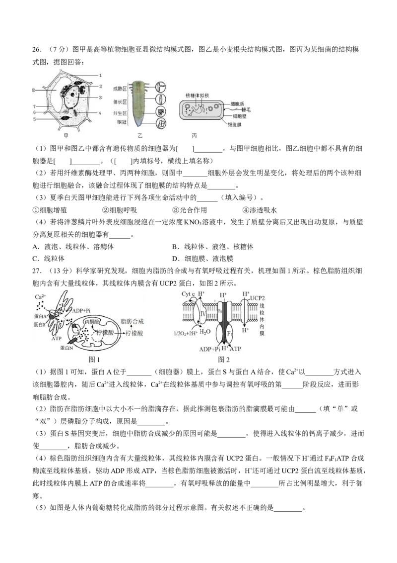 山东省淄博市张店区淄博实验中学2023-2024学年高二下学期6月月考生物试题（含答案）_A1502026各地模拟卷（超值！）_6月