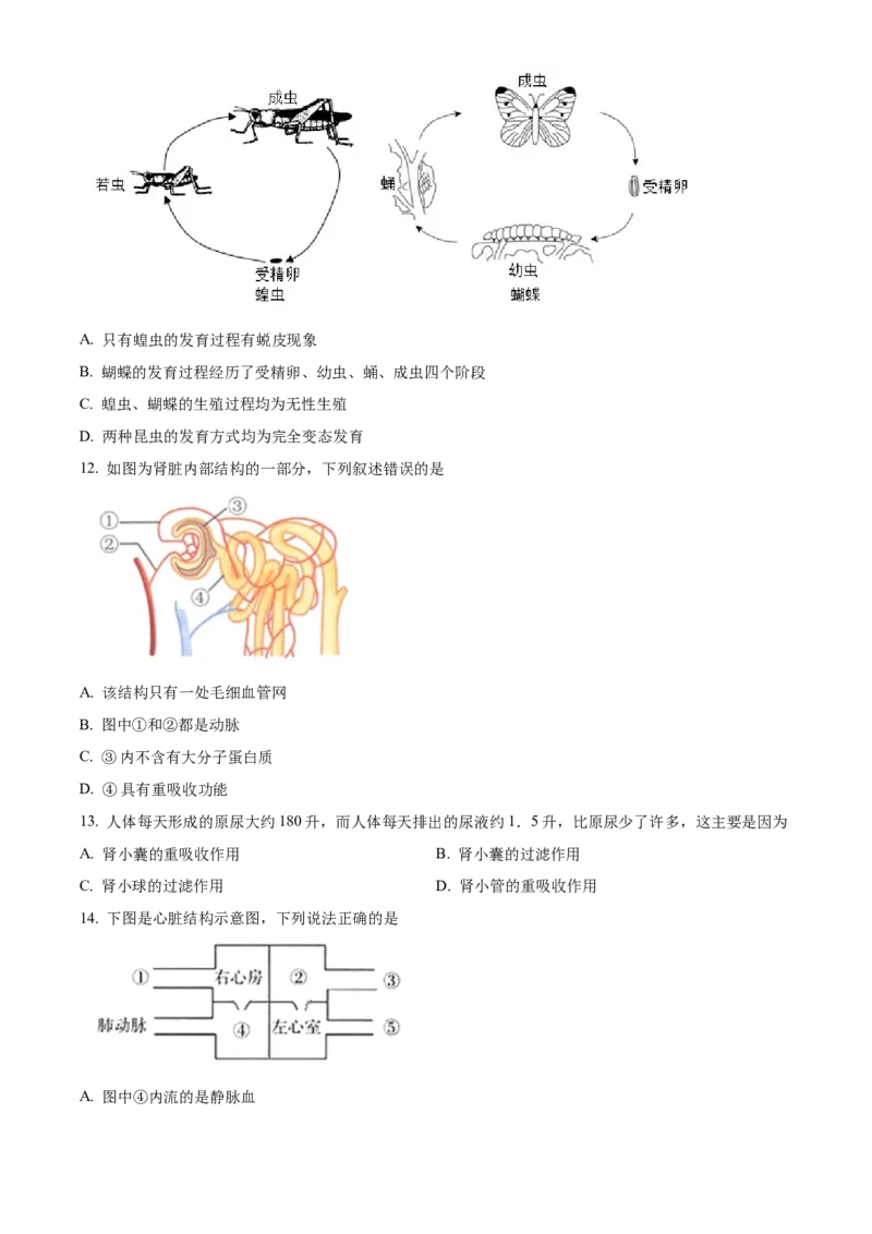 精品解析：北京市东城区汇文中学教育集团2021-2022学年八年级下学期阶段性练习（二模）生物试题（原卷版）(1)_北京初中期末题_C605-京七八九_B京生物七八九_北京八下生物