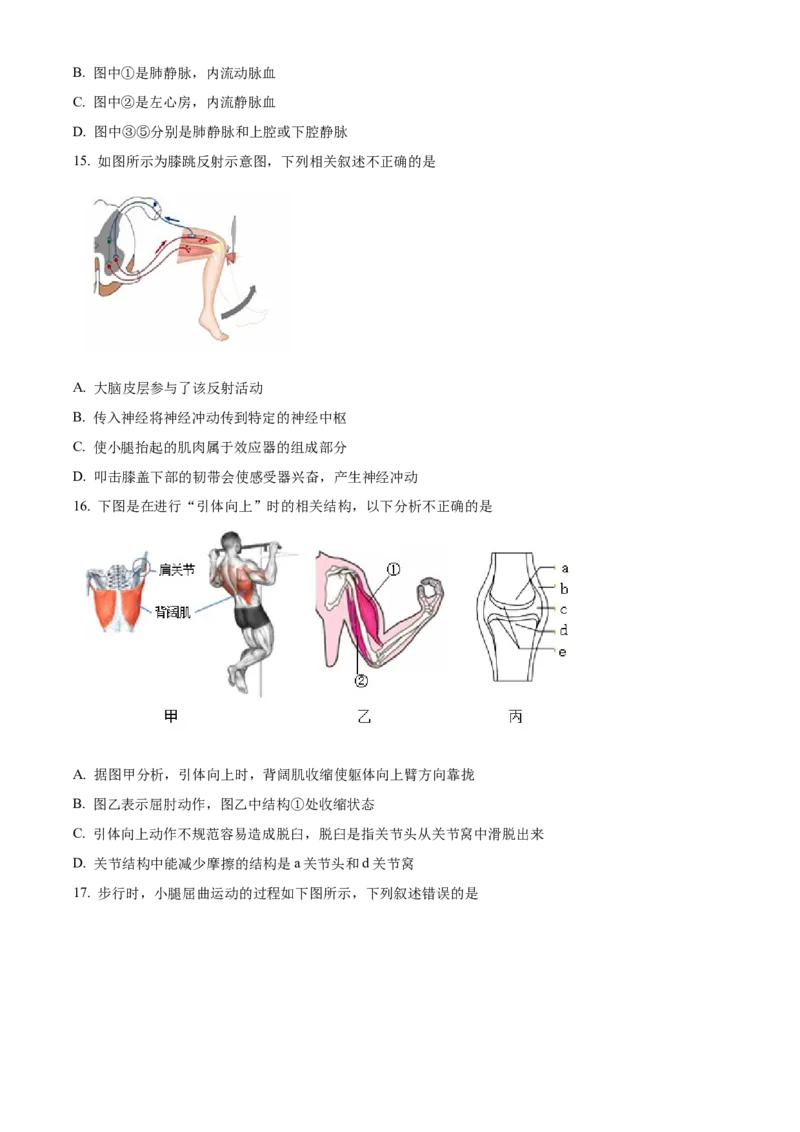 精品解析：北京市东城区汇文中学教育集团2021-2022学年八年级下学期阶段性练习（二模）生物试题（原卷版）(1)_北京初中期末题_C605-京七八九_B京生物七八九_北京八下生物