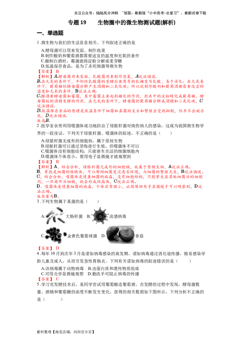 专题19生物圈中的微生物（解析版）_02中考总复习（2026版更新中）_08-生物-中考总复习_2024年中考复习资料_一轮复习_配套练习_教师版（含答案解析）